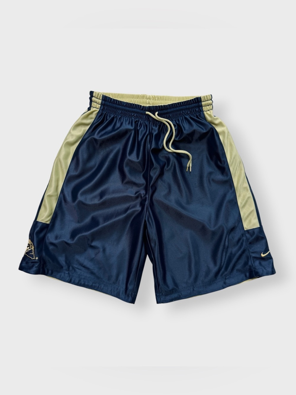 Vintage Nike Pittsburgh Panthers Reversible Basketball Shorts, Pitt University M
